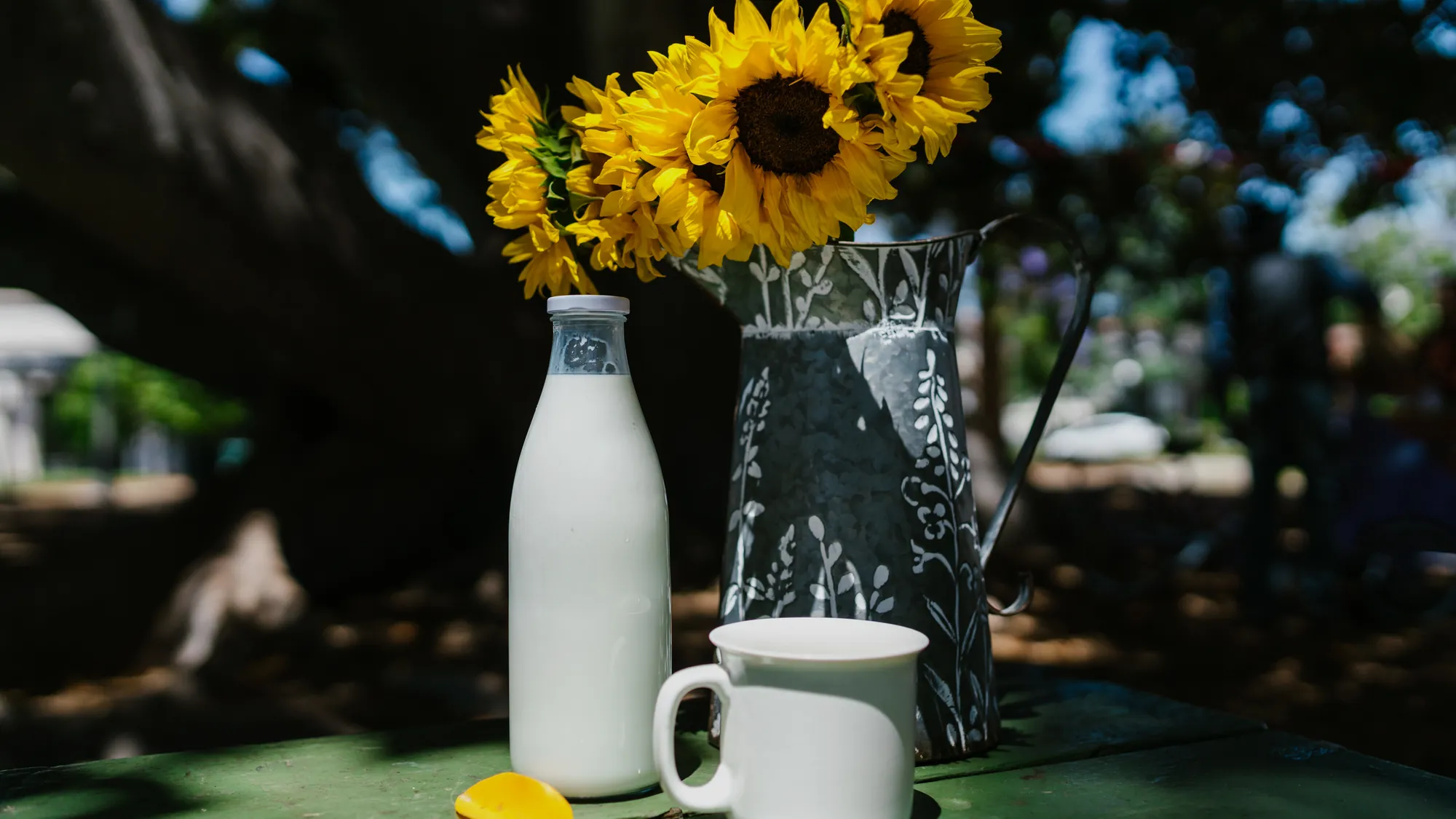 Lait ribot : ce qu’il est vraiment et comment le cuisiner