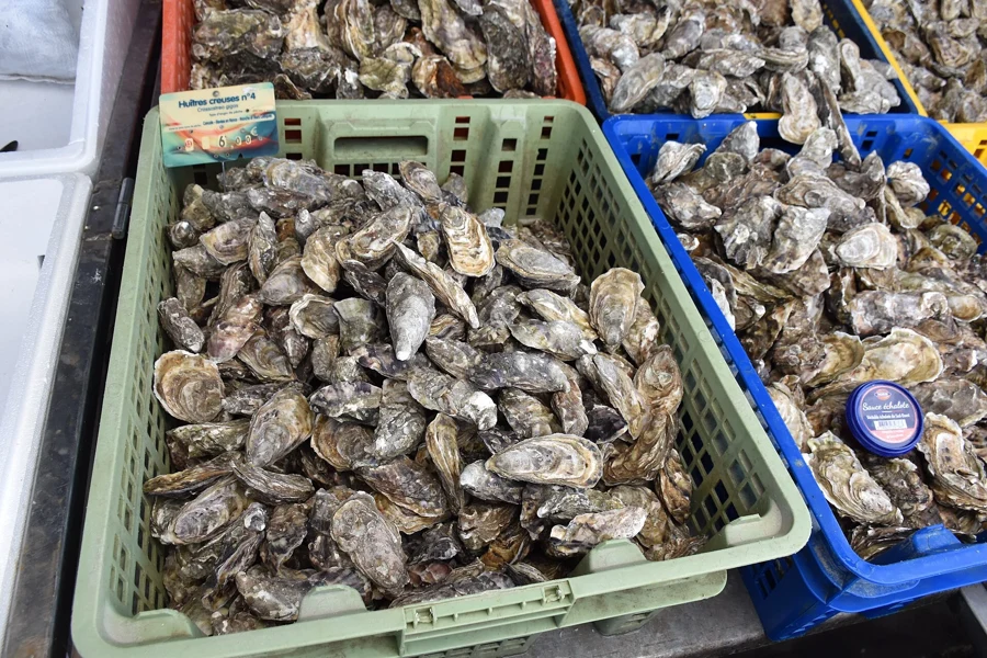 Bourriches d'huîtres creuses de calibre 4 à l'étal