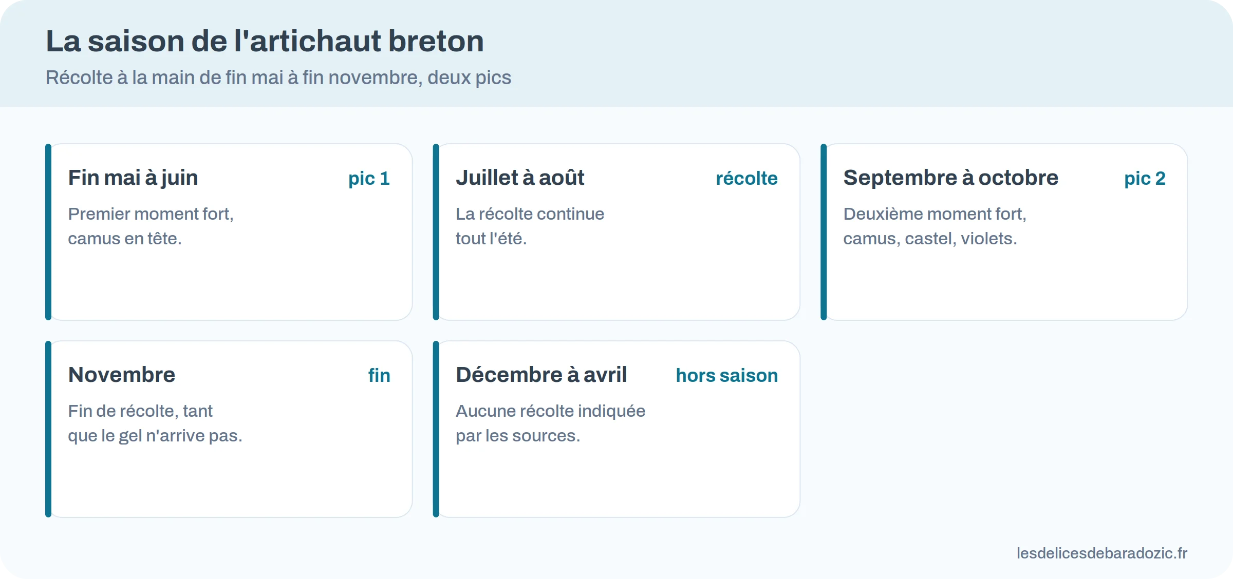 Calendrier de l'artichaut breton : récolte de fin mai à fin novembre, deux pics en mai-juin et septembre-octobre