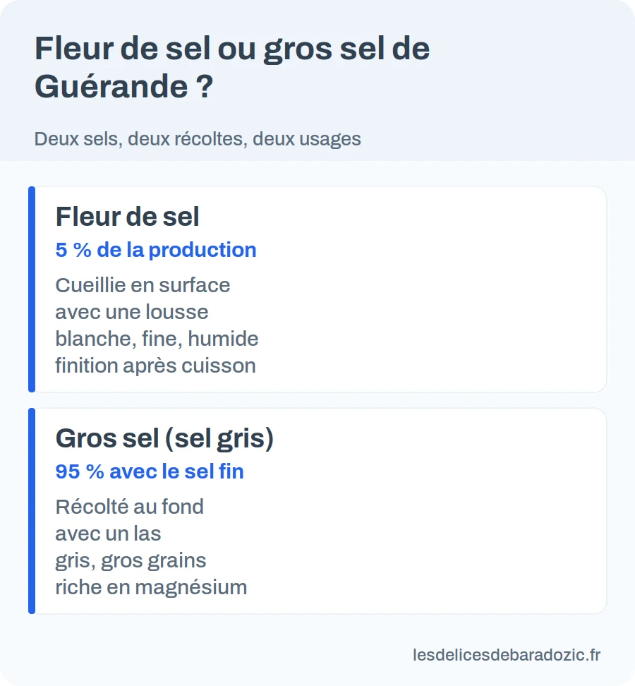Infographie : fleur de sel et gros sel de Guérande, production et récolte comparées